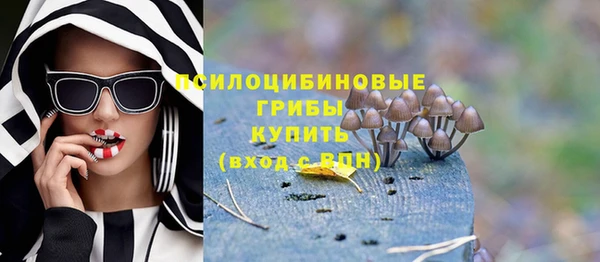 не бодяженный Аркадак