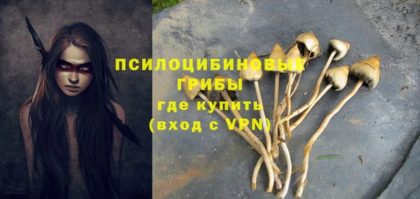 a pvp Арсеньев