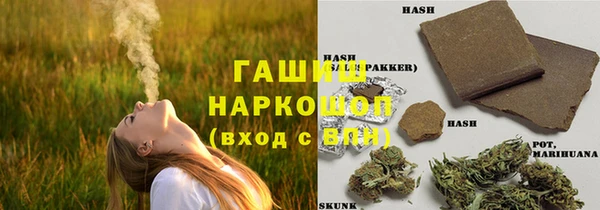 СК Шадринск
